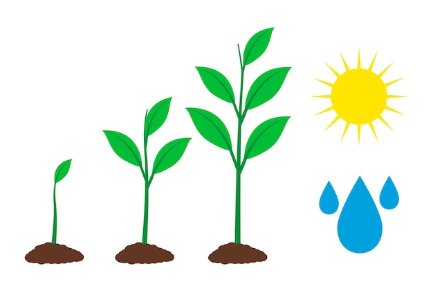 Ilustración aislada plana del vector de diseño de iluminación de la planta