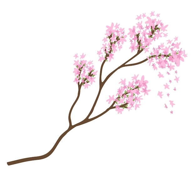 Ilustración aislada de la rama Sakura Vector