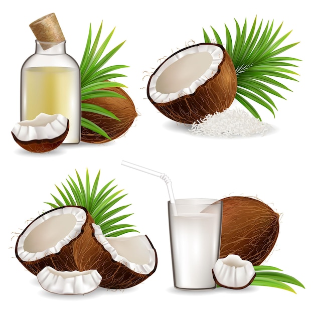 Ilustración aislada del vector del conjunto de coco natural orgánico