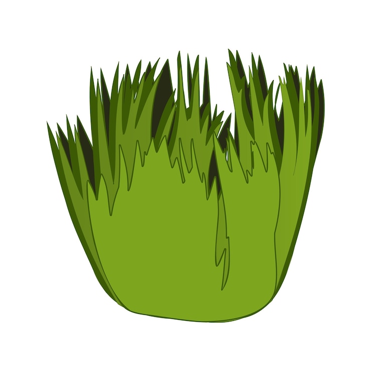 Vector ilustración aislada del vector de hierba verde arbustos de plantas de jardín de hierba verde