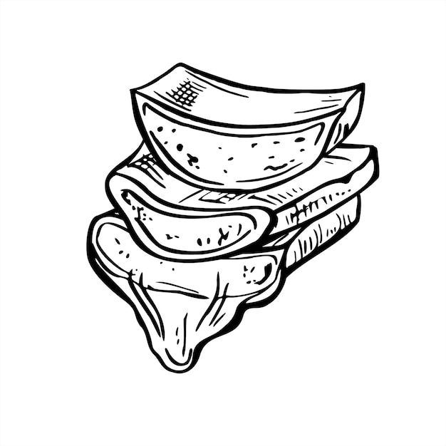 Ilustración aislada de vector de hoja cortada de aloe vera con gel goteante pintada con tintas negras Rebanadas suculentas frescas orgánicas dibujo de grabado Para el cuidado de la piel concepto de tratamiento de productos de belleza de marca