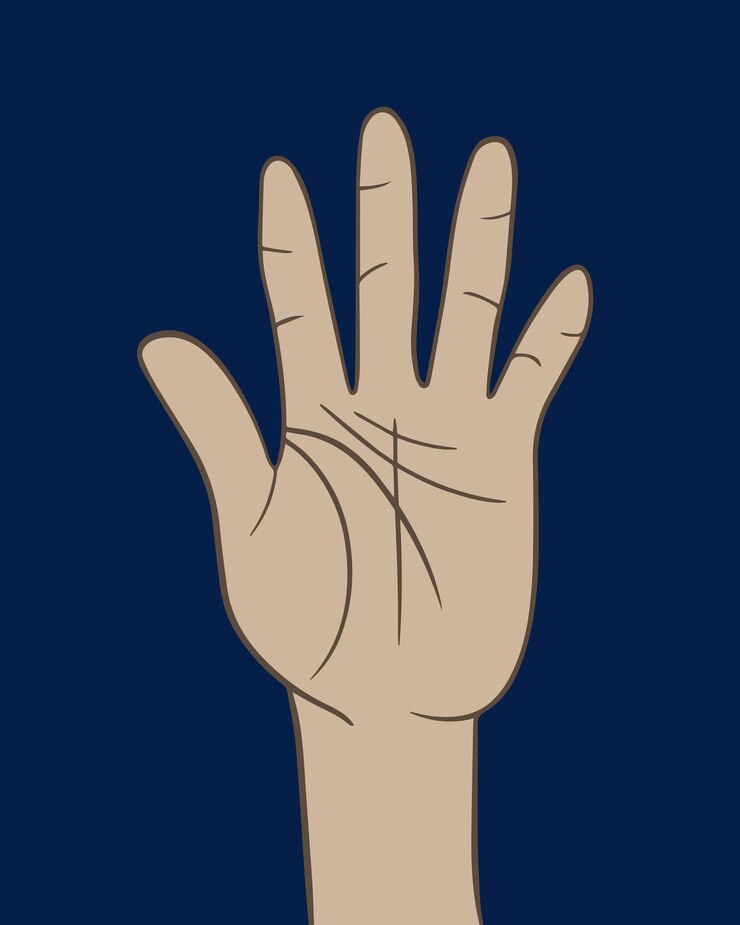 Vector ilustración aislada vectorial de la mano humana con líneas de vida. quiromancia.