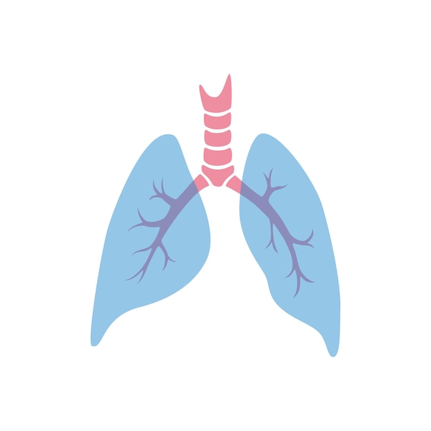 Ilustración aislada vectorial del pulmón