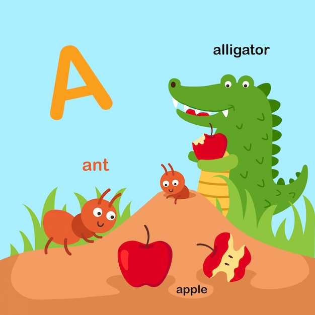 Ilustración aislado animal alfabeto letra A