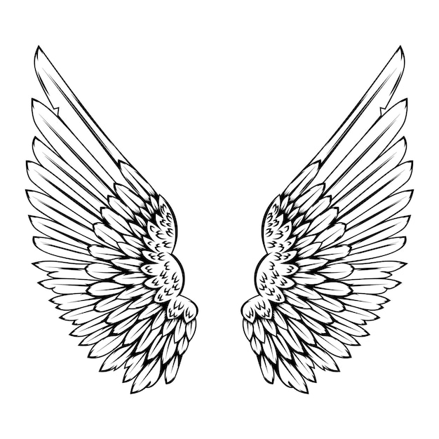 Ilustración de alas en estilo tatuaje aislado sobre fondo blanco. Elemento de diseño para logotipo, etiqueta, placa, signo. ilustración vectorial