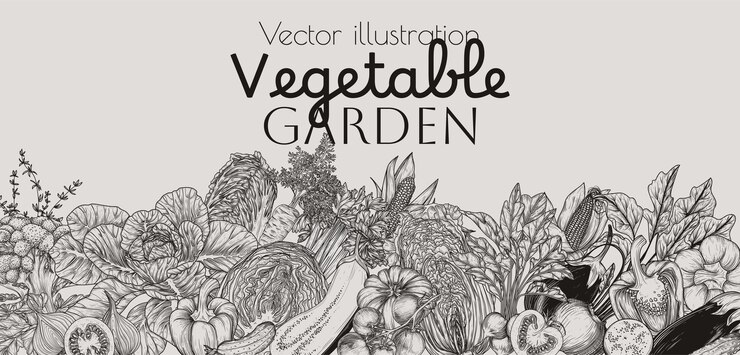 Ilustración de alimentos saludables verduras y verduras zanahoria apio repolo pepino pepino