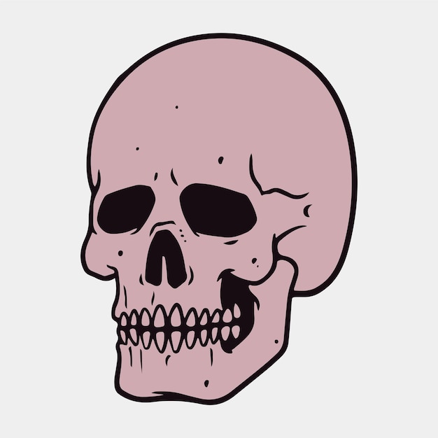 Ilustración de anatomía de cabeza de cráneo de dibujo a mano vintage