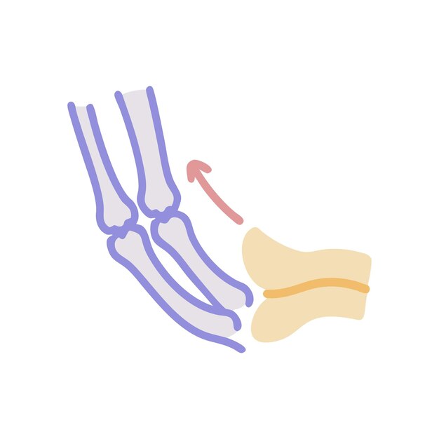 Ilustración de la anatomía en la ciencia médica