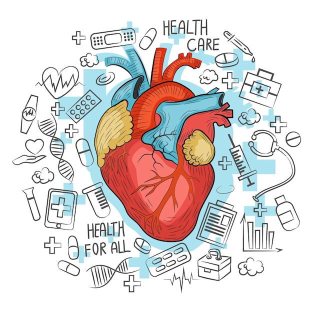 Ilustración anatómica de un corazón humano rodeado de iconos médicos en un estilo de arte colorido y de línea sobre un fondo blanco concepto de atención médica Ilustración vectorial