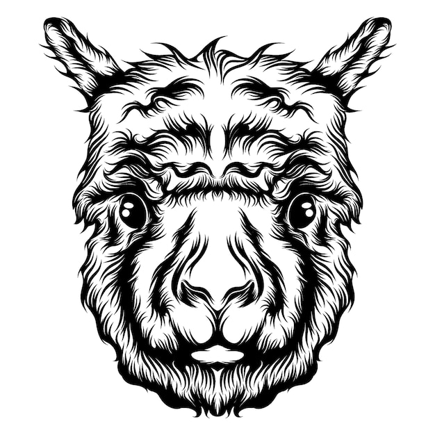 La ilustración de la animación del tatuaje de una sola cabeza de alpaca.