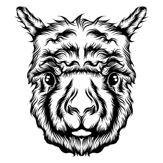 La ilustración de la animación del tatuaje de una sola cabeza de alpaca.