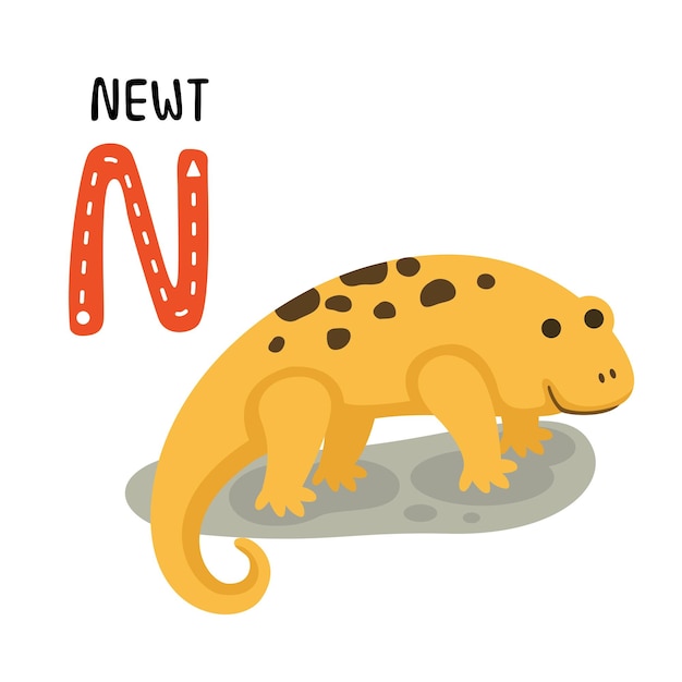 Ilustración animal aislado alfabeto letra nnewt