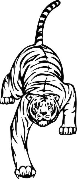 ilustración animal en color blanco y negro este diseño disponible para dibujar y colorear