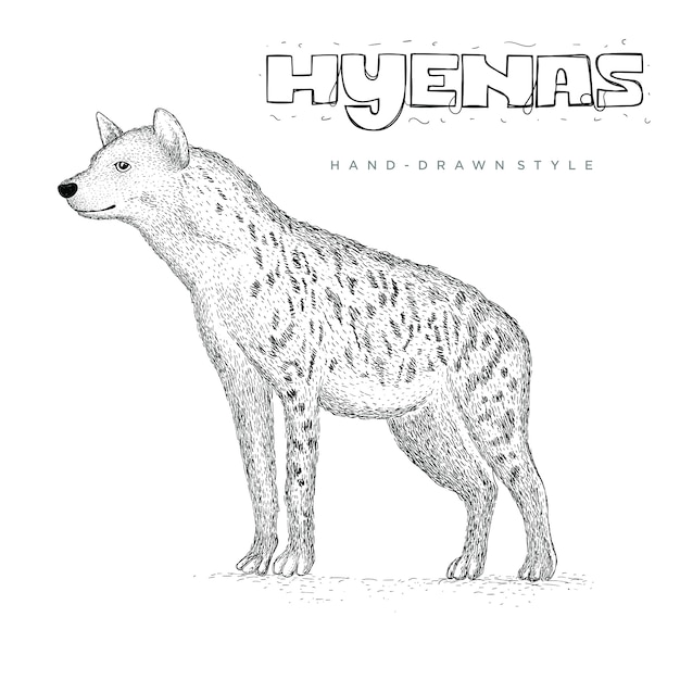 Vector ilustración de animal dibujado a mano de hienas