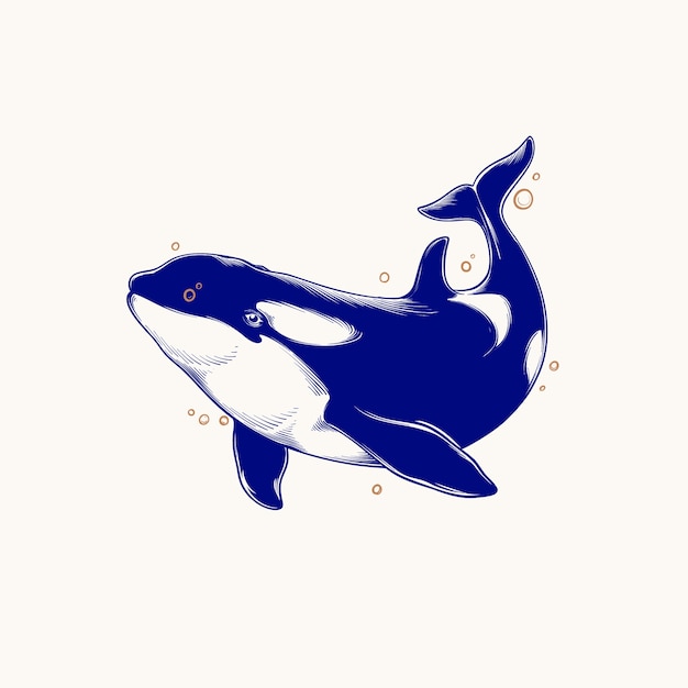 Ilustración de animales marinos dibujados a mano