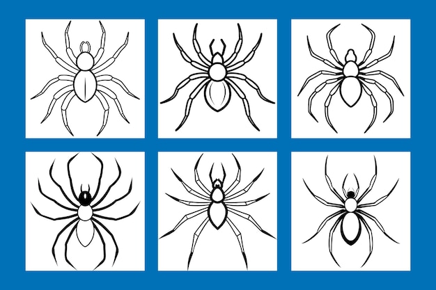 Ilustración de la araña