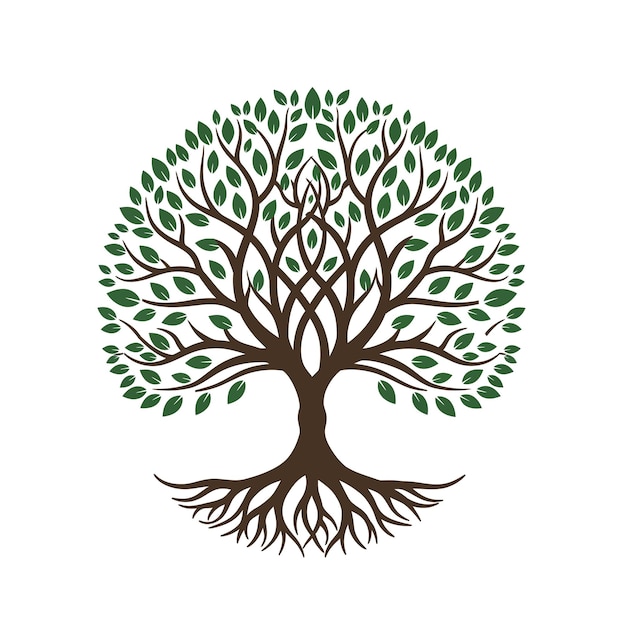 Ilustración del árbol circular de la vida