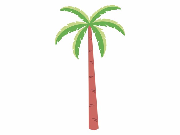 Ilustración del árbol de coco