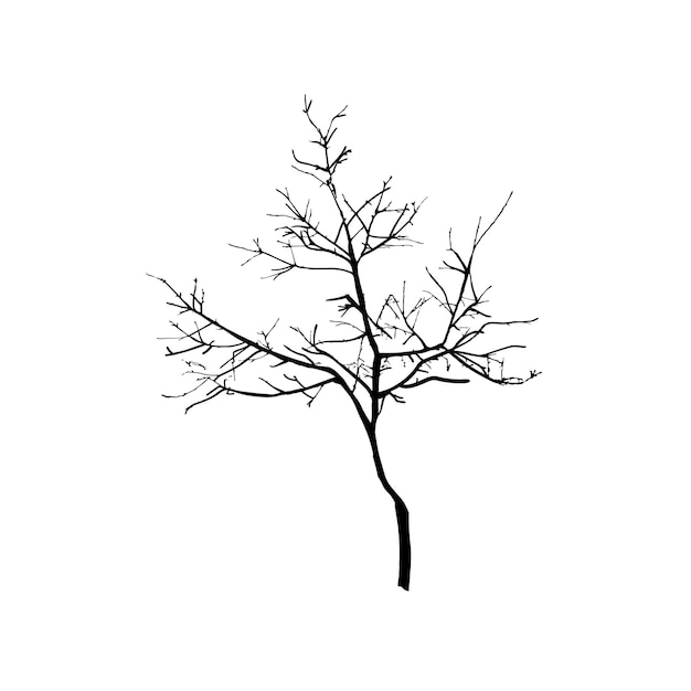 Ilustración de árbol desnudo