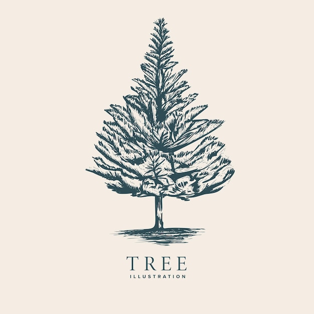 Vector ilustración de árbol dibujado a mano