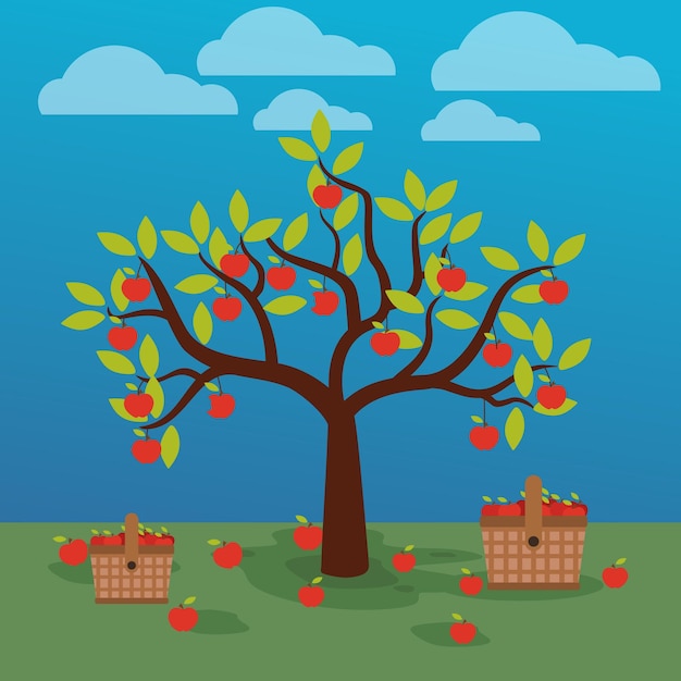 Vector ilustración del árbol de manzana