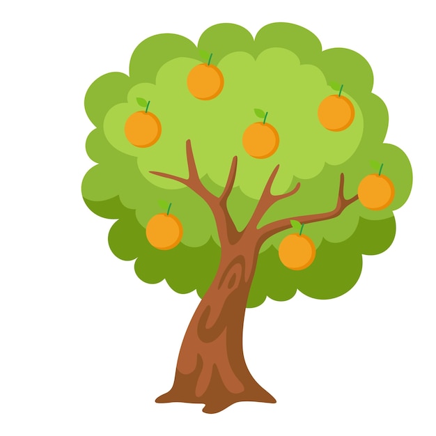 Ilustración árbol de naranja con vector de fondo blanco
