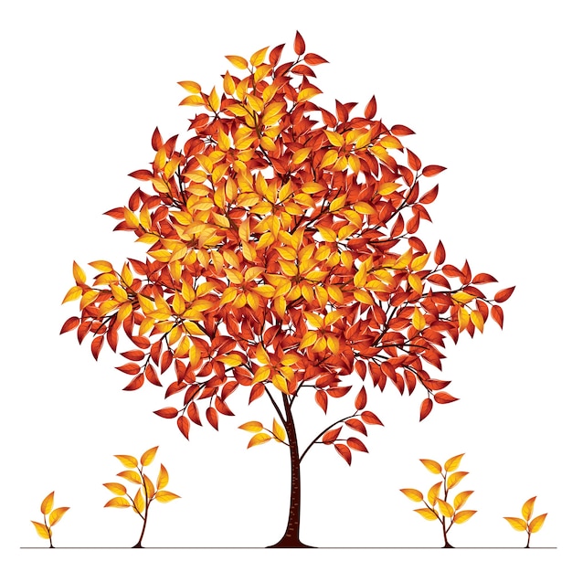 Vector ilustración de árbol de otoño