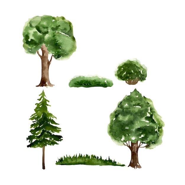 Vector ilustración de árbol verde acuarela