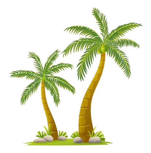 Vector ilustración de árboles de coco tropical en estilo de dibujos animados