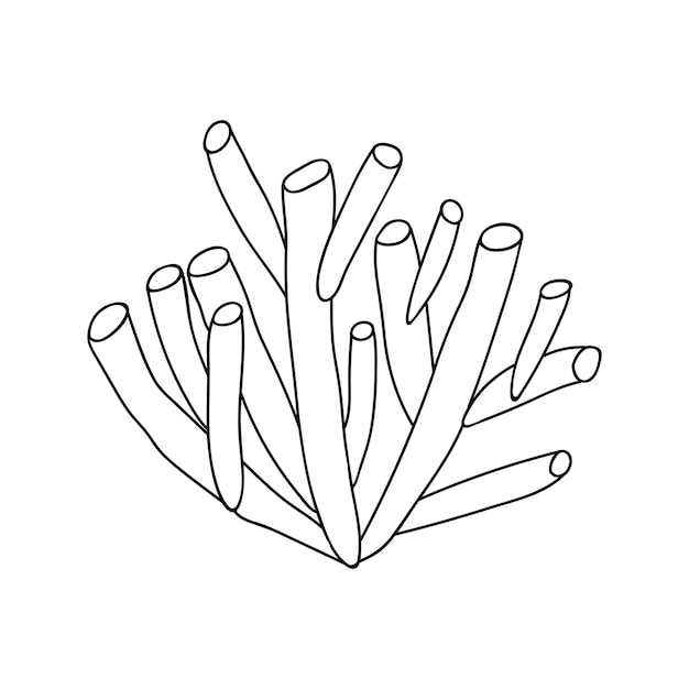 Ilustración de arrecife de coral dibujado a mano Ilustración de vector de coral de garabato