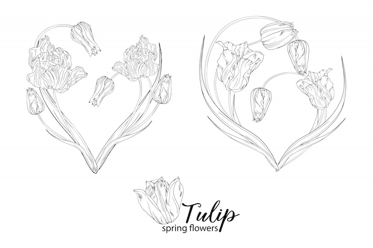 Vector ilustración de arreglos florales