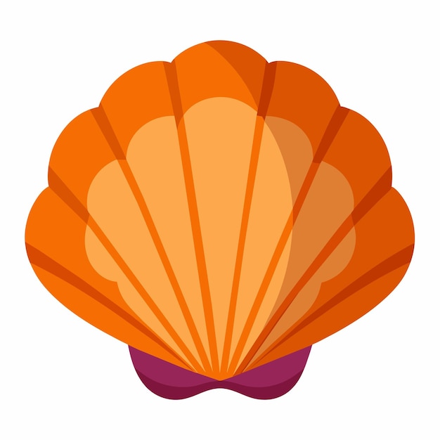 Ilustración de arte de clipart vectorial de conchas de fondo blanco sólido 5