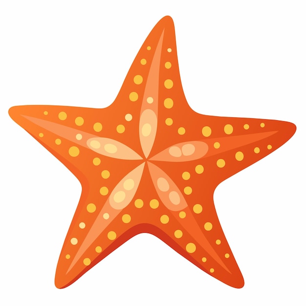 Ilustración de arte de clipart vectorial de estrellas de mar fondo blanco sólido 24