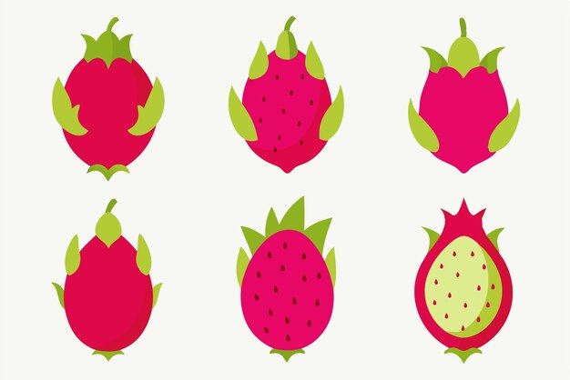 Ilustración de arte de color de la fruta del dragón Un estilo único, artístico, fresco, colorido y audaz