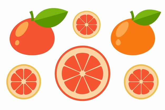 Ilustración de arte de color de pomelo artístico fresco vibrante colorido diseño único