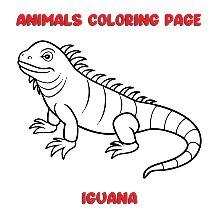 Vector ilustración de arte de contorno iguana libro de páginas para colorear para niños