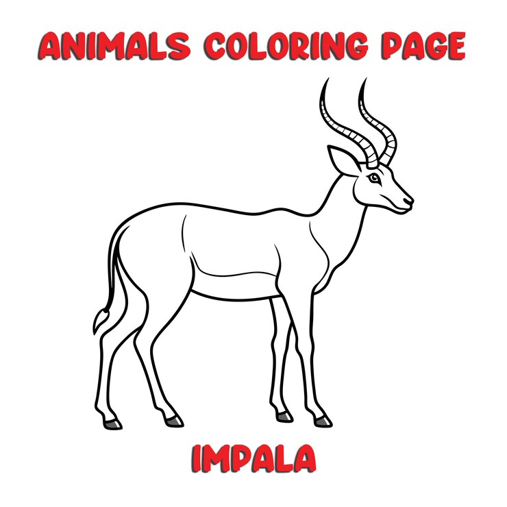 Vector ilustración de arte de contorno de impala libro de páginas para colorear para niños