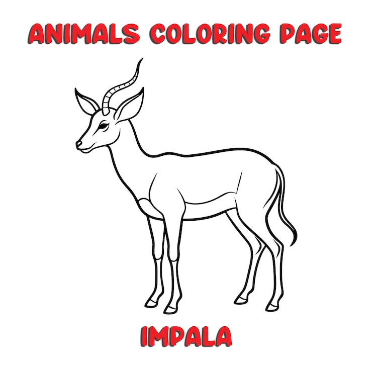 Vector ilustración de arte de contorno de impala libro de páginas para colorear para niños