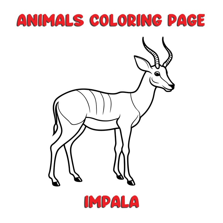 Vector ilustración de arte de contorno de impala libro de páginas para colorear para niños