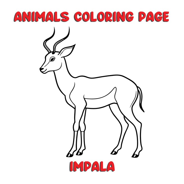 Vector ilustración de arte de contorno de impala libro de páginas para colorear para niños