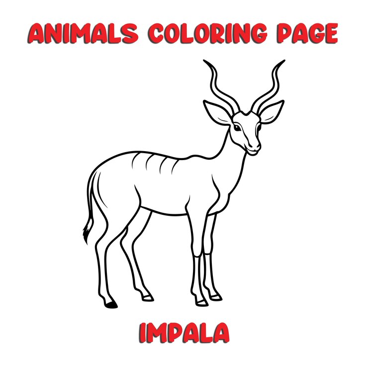 Vector ilustración de arte de contorno de impala libro de páginas para colorear para niños