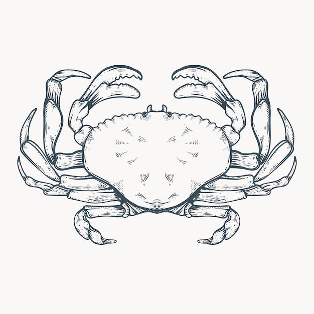 Ilustración de arte de línea de cangrejo dibujado a mano