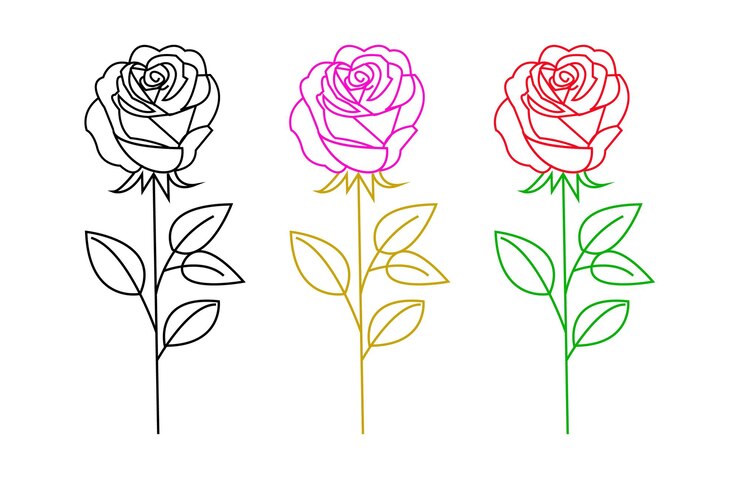 ilustración de arte de línea dibujada a mano vectorial