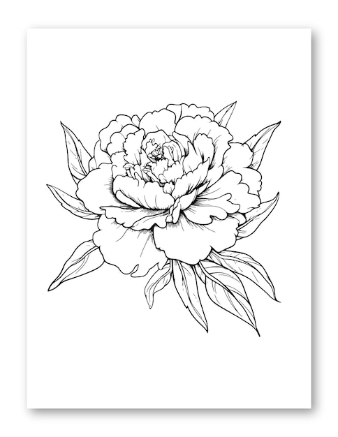 Vector ilustración de arte de línea de flor de dalia para página para colorear