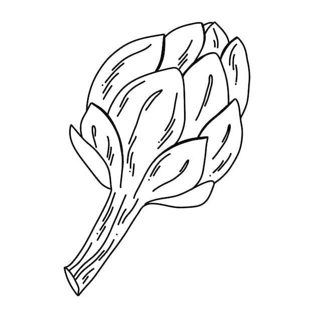 Ilustración de arte de línea de hortalizas de alcachofa boceto botánico dibujado a mano en blanco y negro