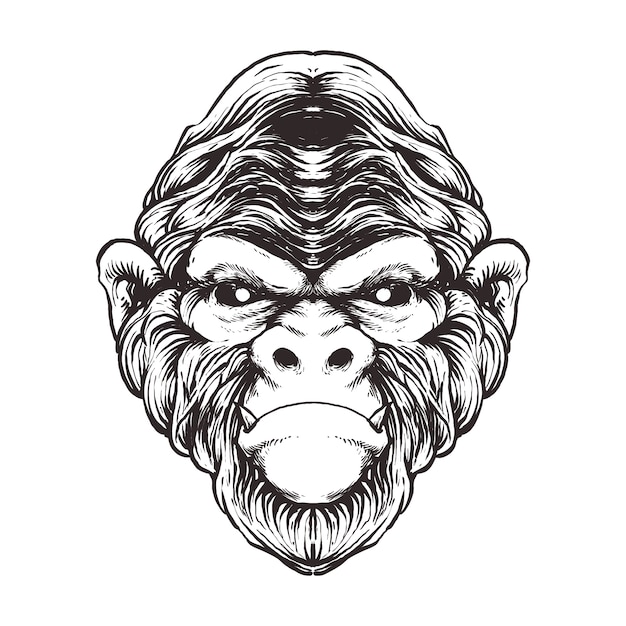 Ilustración de arte de línea de mono