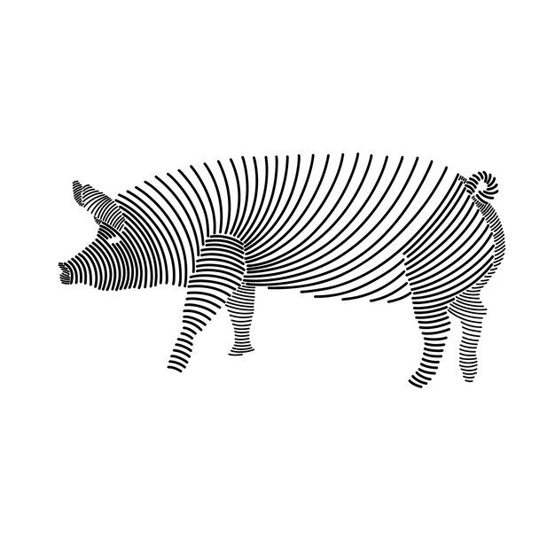 Ilustración de arte de línea simple de un cerdo 2