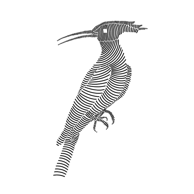Ilustración de arte de línea simple de un hoopoe 1