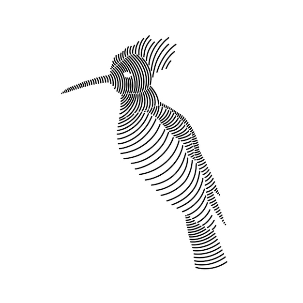 Ilustración de arte de línea simple de un hoopoe 2