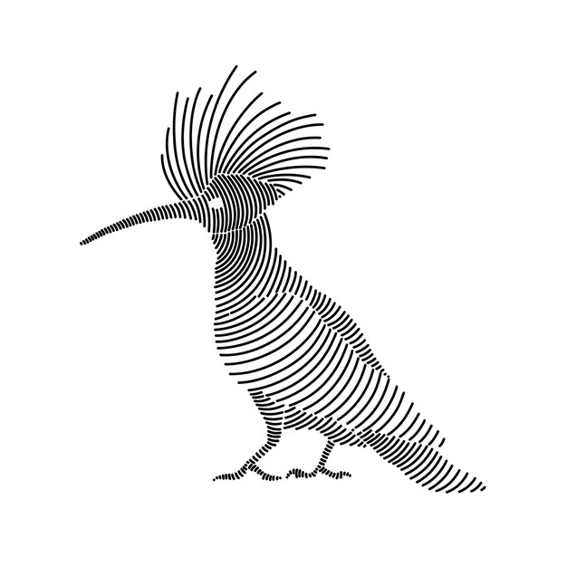 Ilustración de arte de línea simple de un hoopoe 3